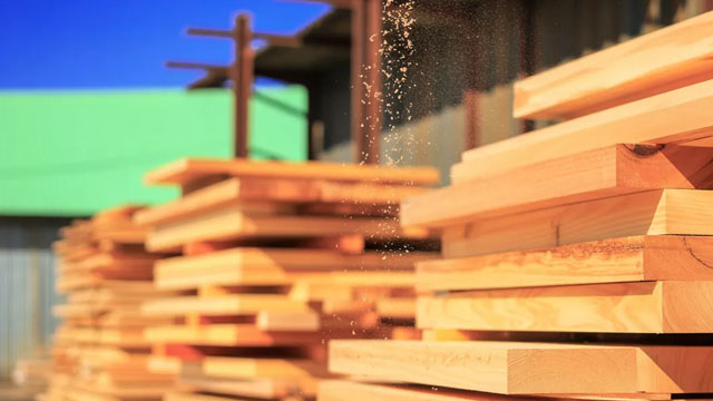 Rayonier (RYN) Surpasses Q2 Earnings and Revenue Estimates