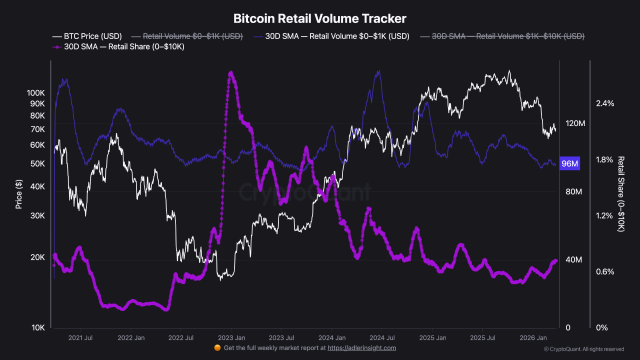 Retail Bitcoin Activity Rises but Lags Institutional Market Influence