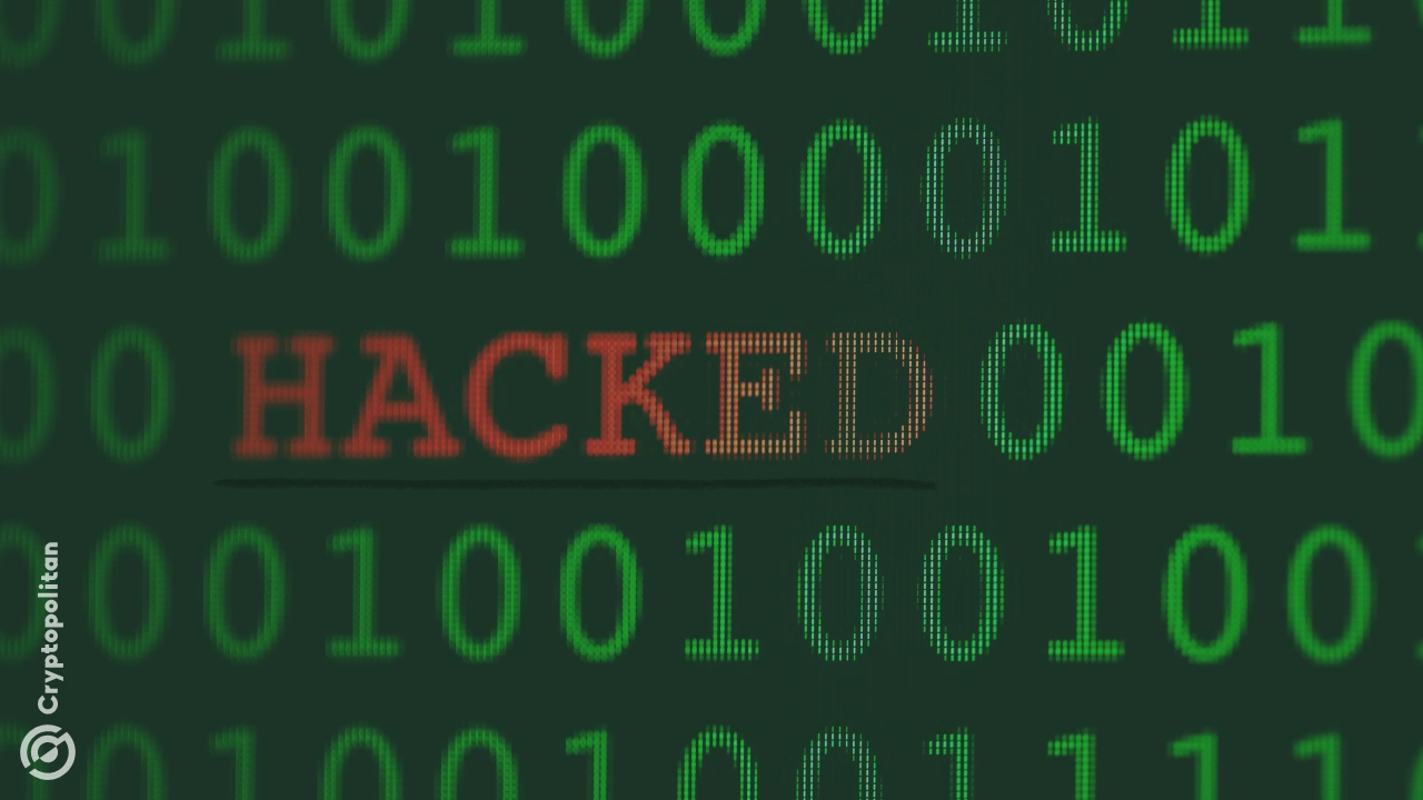 Article image for Ribbon Finance, formerly Aevo, loses $2.7 million in DeFi hack