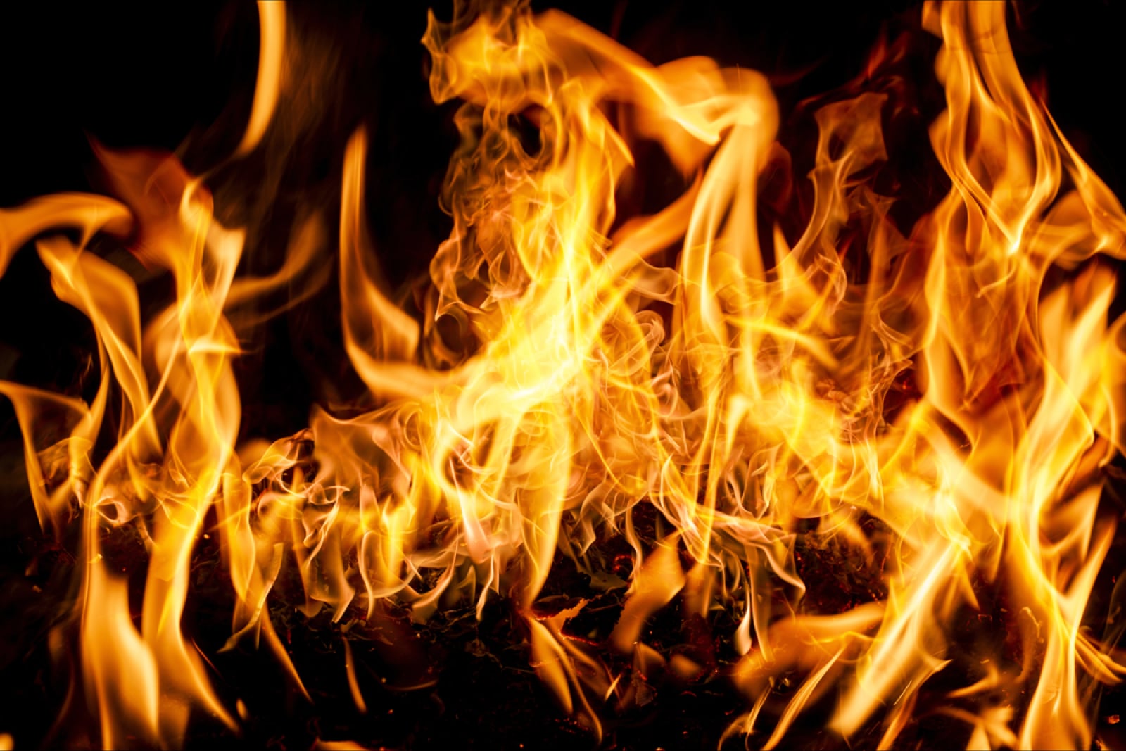 Article image for Ripple Keeps Burning RLUSD. What's Happening?