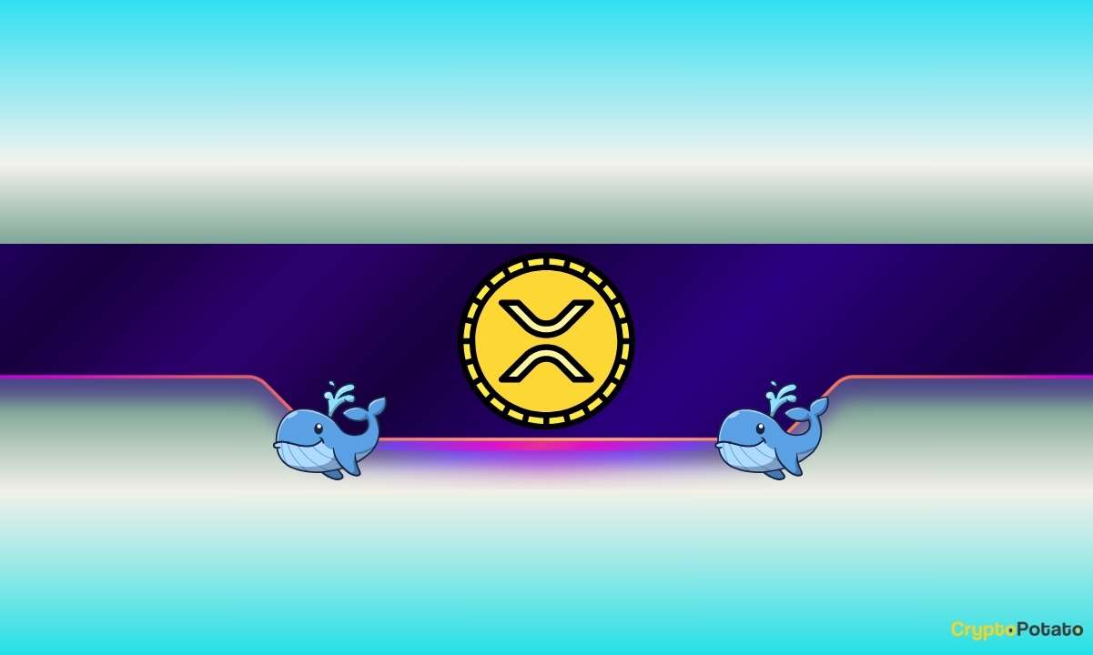 Ripple Whales Are Still Buying: So Why Is XRP's Price Down Today?