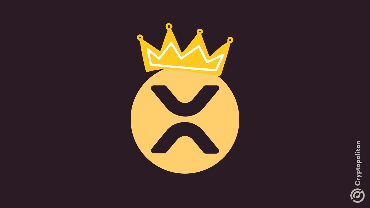 XRP Year-to-Date Gains