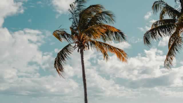 Royal Caribbean (RCL) Rises As Market Takes a Dip: Key Facts
