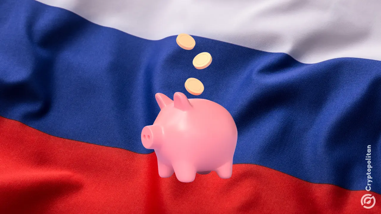 Article image for Russia's civic chamber proposes fund for seized crypto assets
