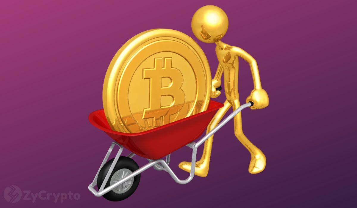 Satoshi's $70 Billion Bitcoin Fortune May Be Lost Forever— Ripple's XRP Architect Drops Bombshell