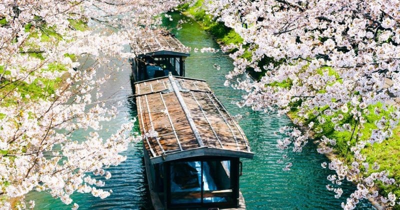 SBI Holdings partners with Solana to create Japan's first crypto financial market