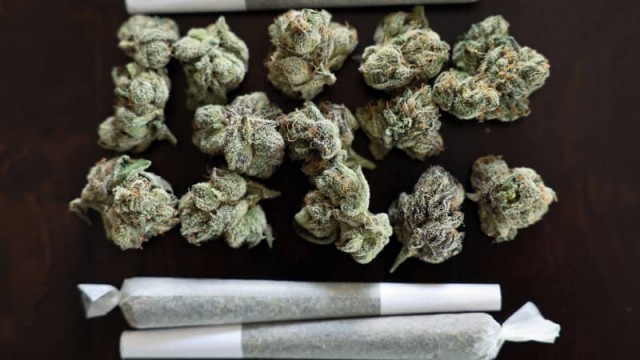 Scotts Miracle-Gro's RIV Capital to merge with Cansortium in cannabis tie-up