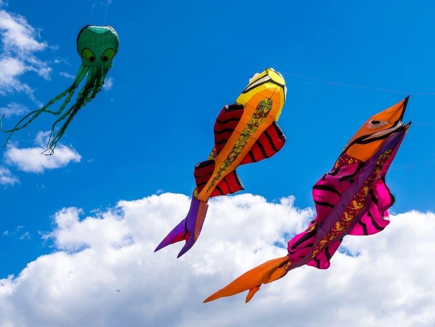SD Weekend: Foodie Fest; Fringe Festival; Flower Fields; Kite Fest