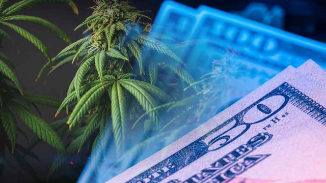 September Watchlist: Leading US Marijuana Stocks Poised for Growth