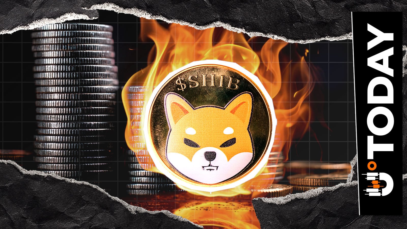 SHIB Burn Volume Falls to Zero After High-Activity Weekend
