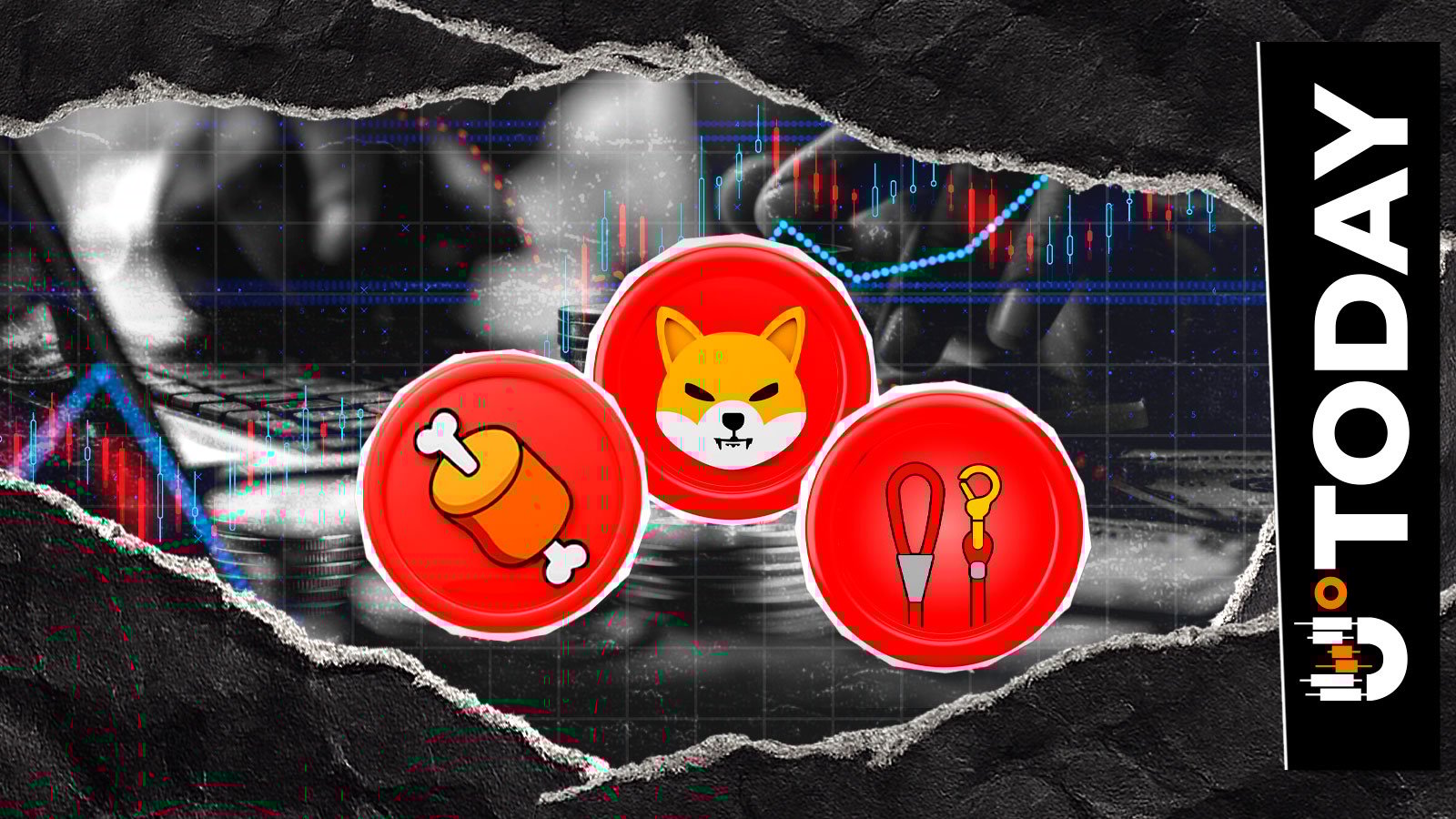 Article image for Shiba Inu Exec on SHIB, BONE, LEASH: 'Darkest Periods Eventually Turn'