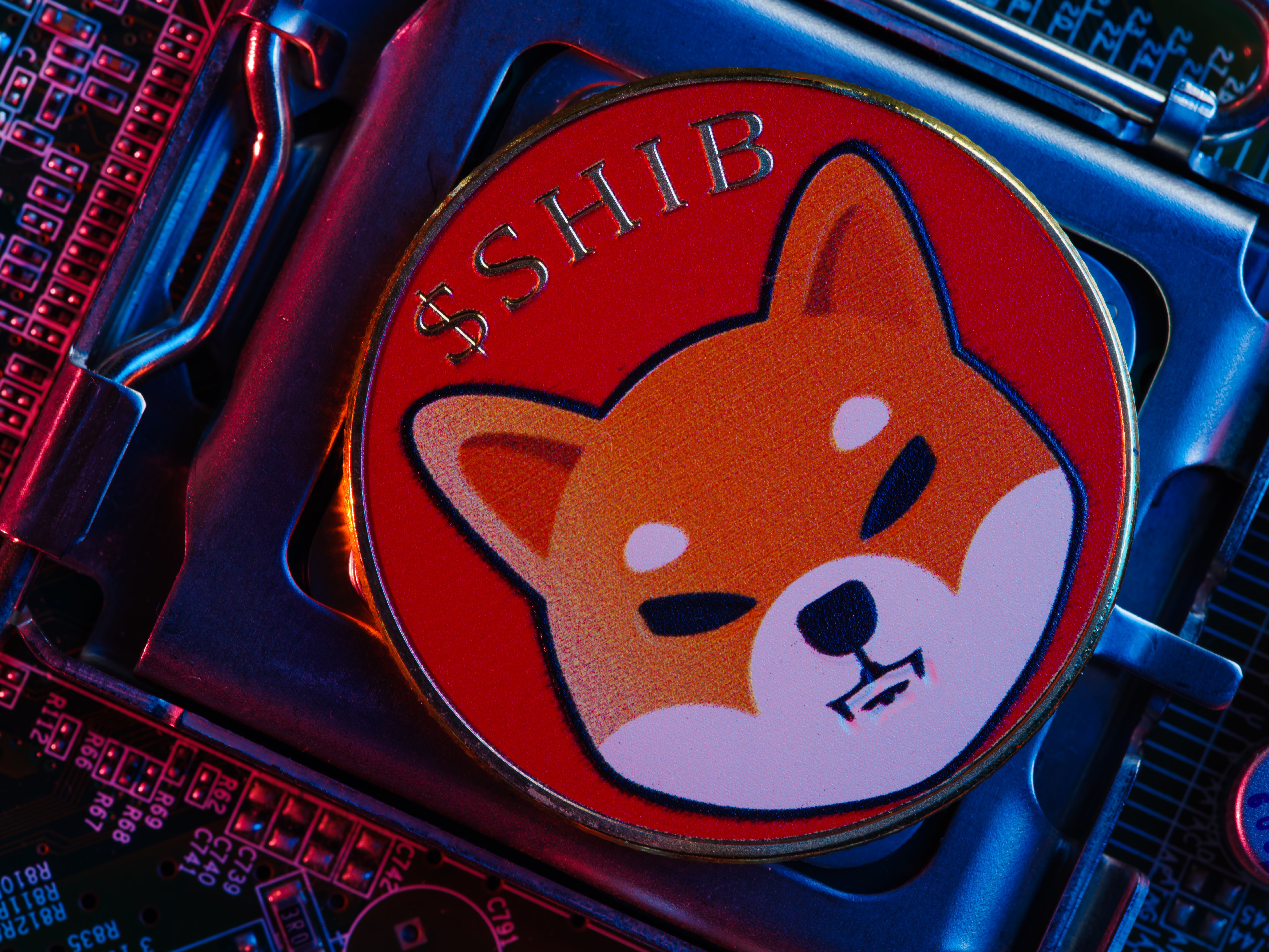 Shiba Inu Holds Ground Despite 31.7 Billion Token Inflows to Exchanges