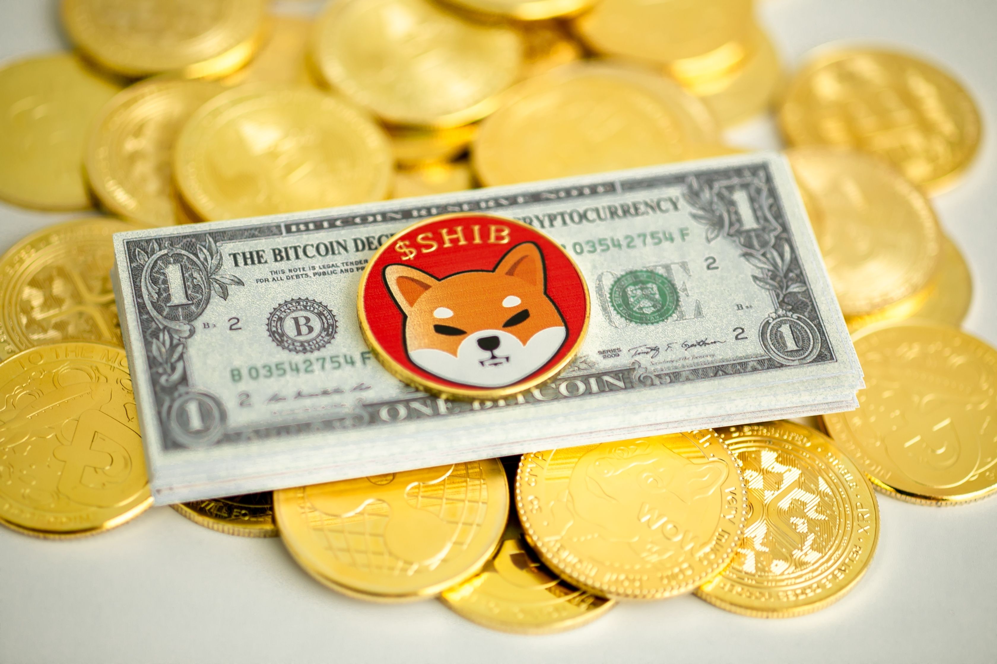 Shiba Inu Price Signals Recovery as Network Growth and Whale Activity Build Momentum
