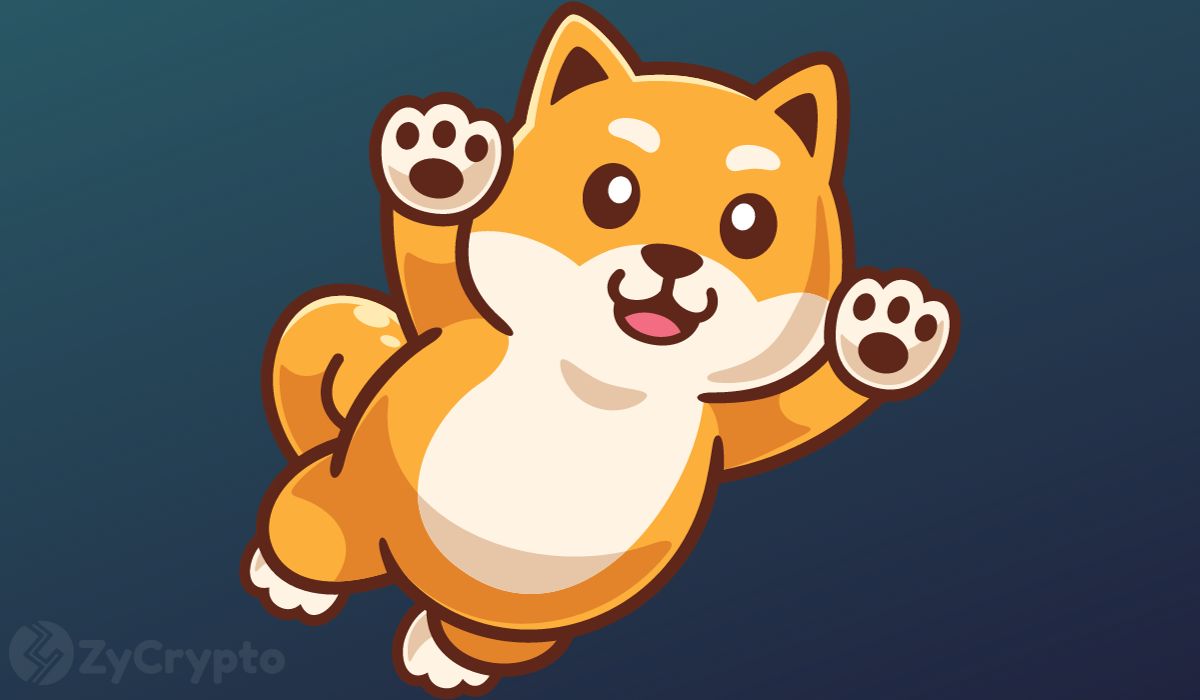 Shiba Inu Revisits Historic Support Zone That Once Ignited a 1,660% Price Explosion: Will History Repeat?