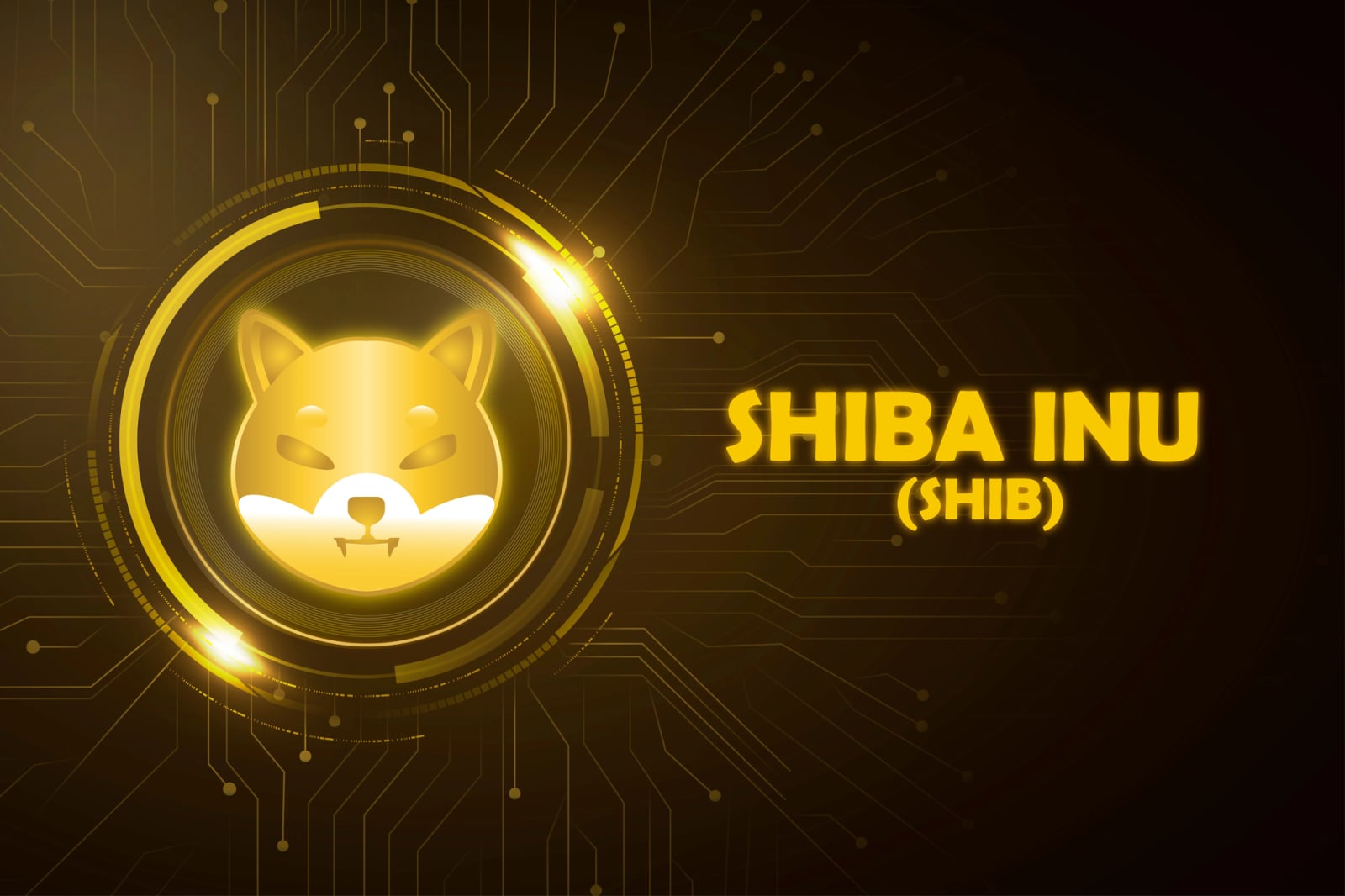 Shiba Inu (SHIB) Is in Best Possible Recovery State: Analyzing Next Price Targets
