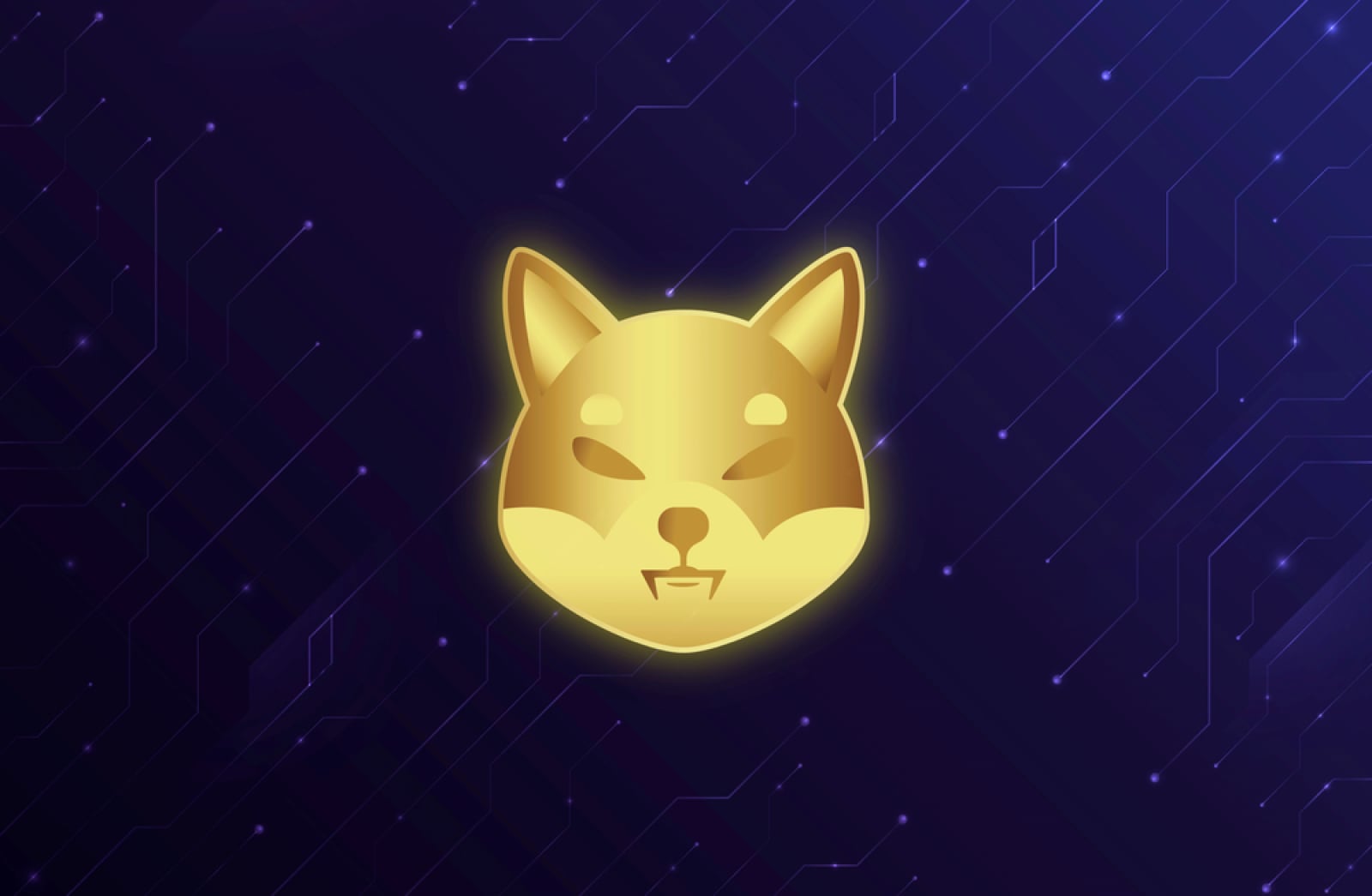 Shiba Inu (SHIB) Records 33.77% Exchange Withdrawal Spike: Accumulation Trend Emerges