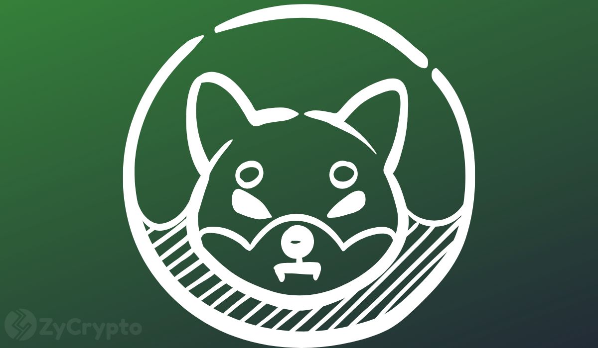 Shiba Inu's 5-Year Slump Is Over? Why Pundits Say the Explosive ‘Rocket Phase' Is Next