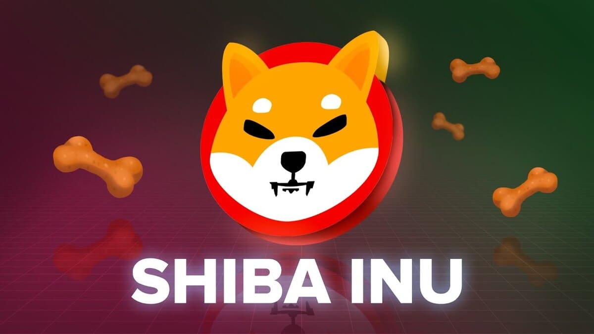 Shiba Inu's Biggest Problem? A Few Whales Still Control Almost All of the Supply