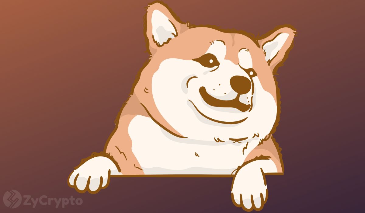 Shiba Inu's Shibarium Activity Surges 78% As Price Remains under Pressure
