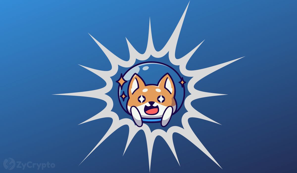 Shiba Inu's Shibarium Sees 507% Transaction Surge Before Sharp Reversal Wipes Out Momentum