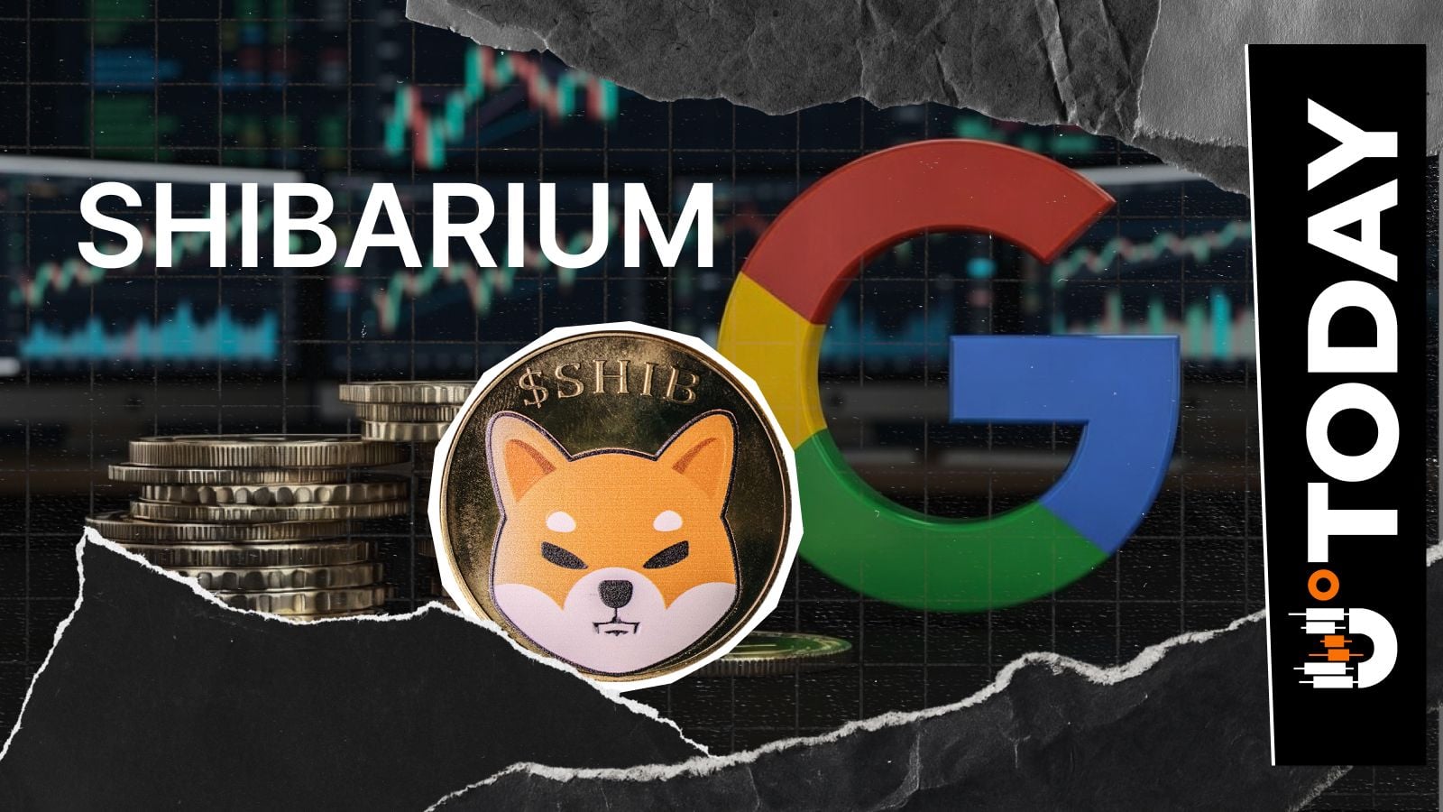 Shibarium Search Interest Records Unusual 100% Rise and Fall on Google