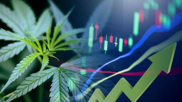 Should You Buy Canopy Growth (CGC) Ahead of Q4 Earnings?