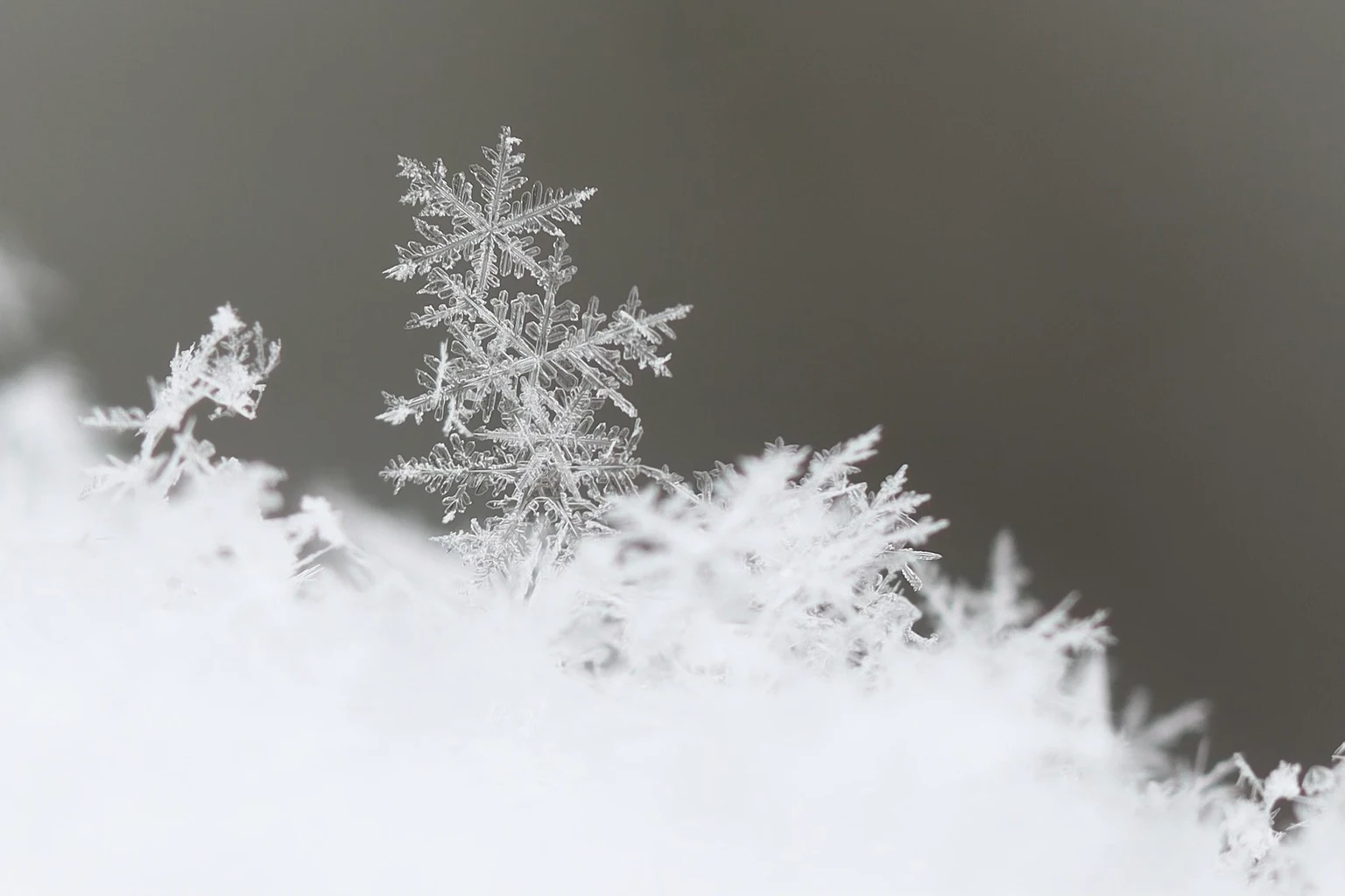 Snowflake's Cash Flow Shows A Healthier Valuation Picture