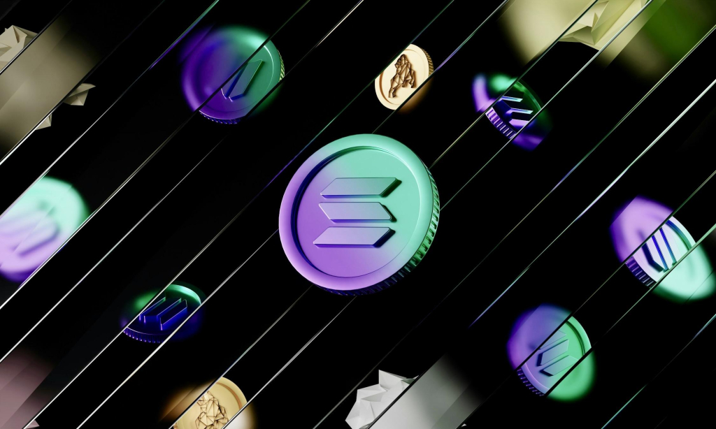 Solana Foundation Pitches Enterprise Privacy as a Customizable Blockchain Feature