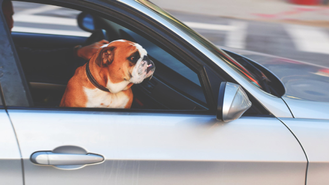 S&P 500 Gains and Losses Today: Carmakers Lose Ground as Analyst Cites Challenges