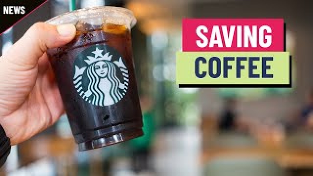 Starbucks wants to make sure there's enough coffee in the future