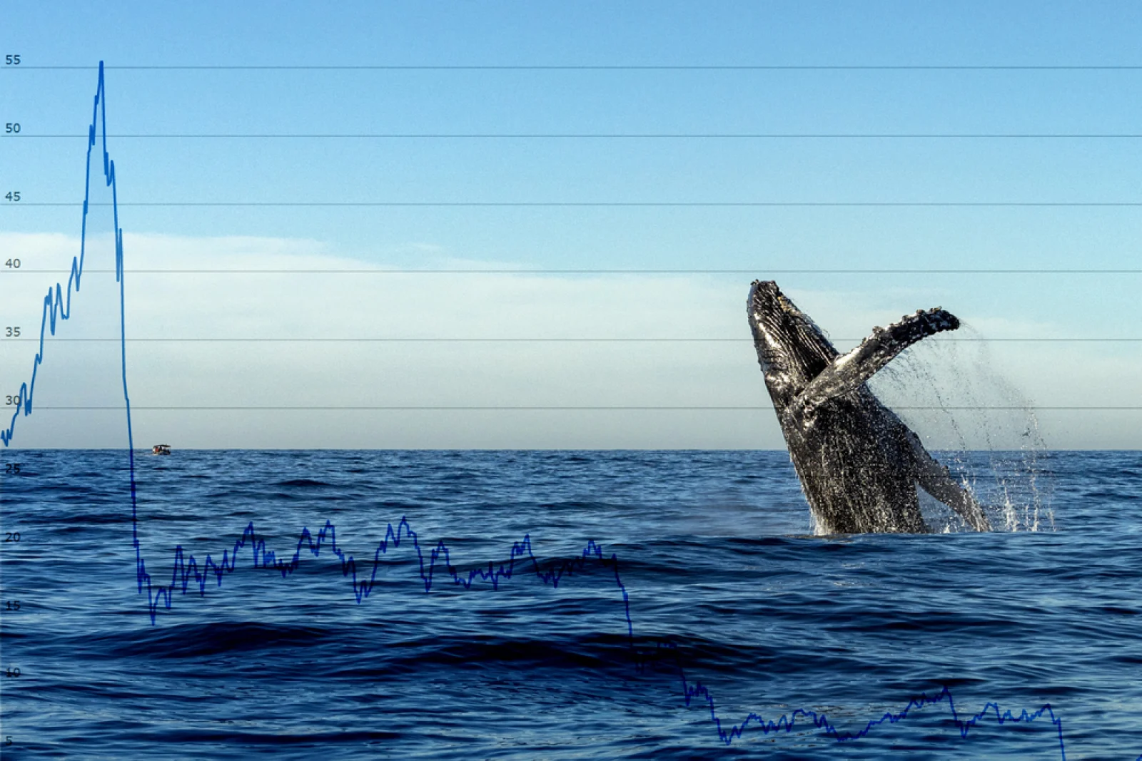 Stay Cautious: ZEC Whale Buys Nullmask (MASK), Massive Token Concentration Raises Red Flags