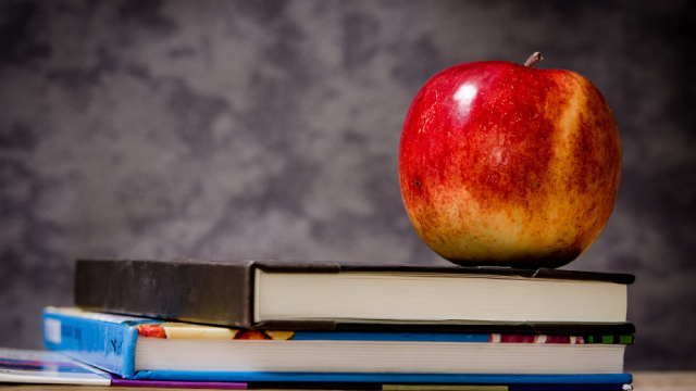Stride: An Online School Provider That Is Growing Fast