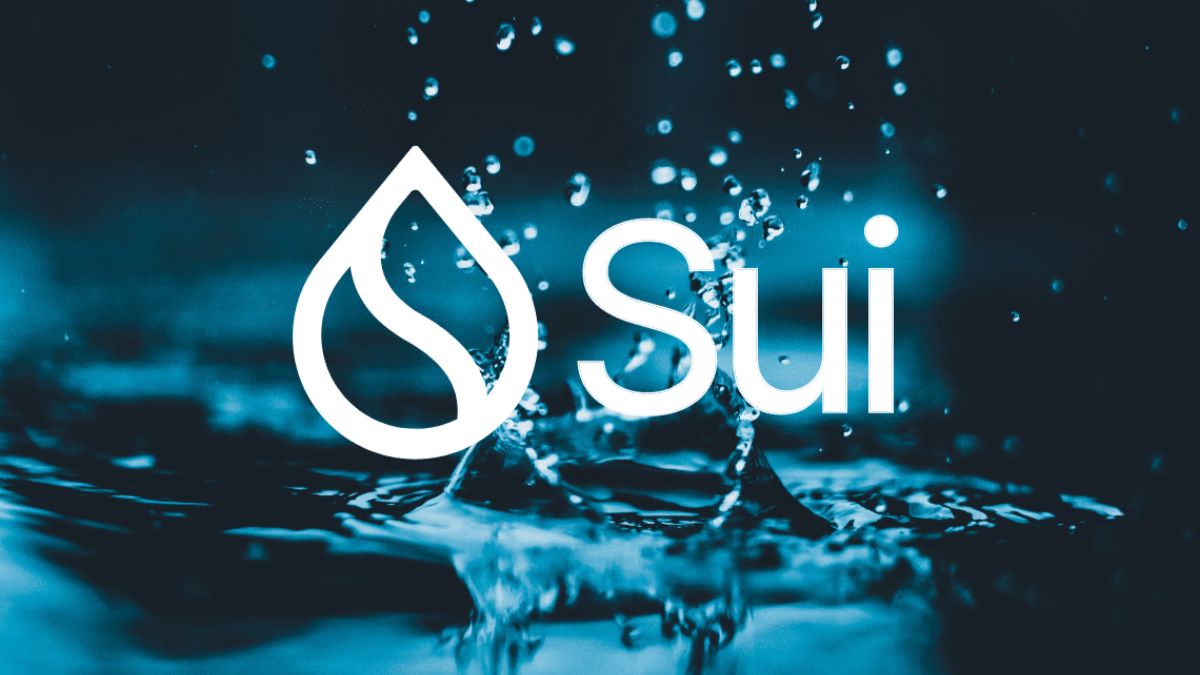 Sui Co‑Founder Unveils Confidential Transfers With Protocol Supply Controls