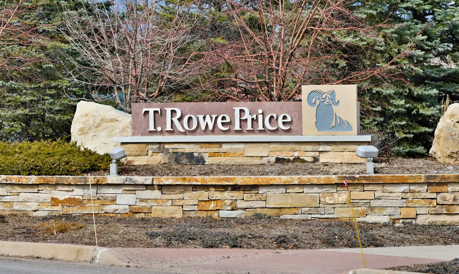 T. Rowe Price: Be Patient Before Buying It