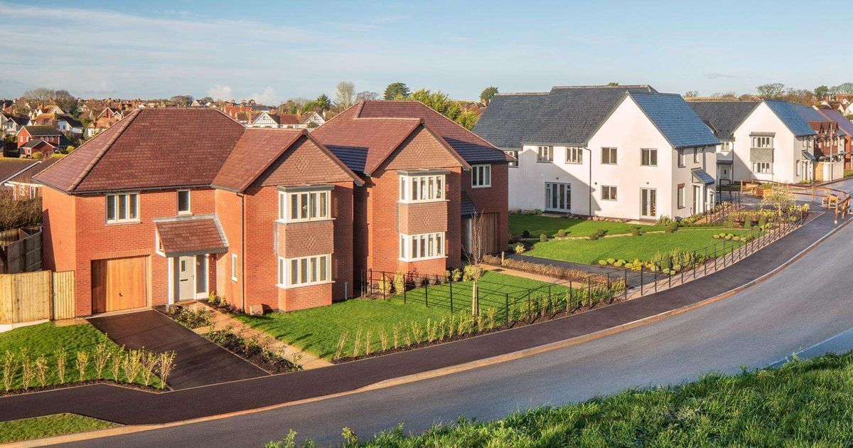 Taylor Wimpey sales rate slows ahead of Budget, but outlook maintained