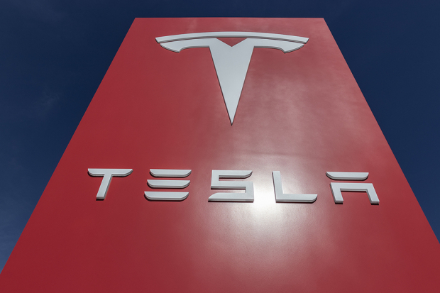 Tesla Tops Mag-7 Group in a Month: ETFs in Focus