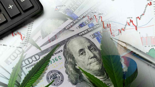 The 3 Best Marijuana Stocks For You Today