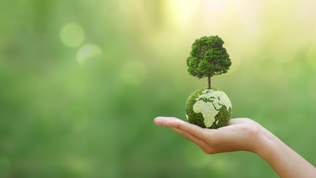 The ESG ETF Duo Marrying Returns and Sustainability