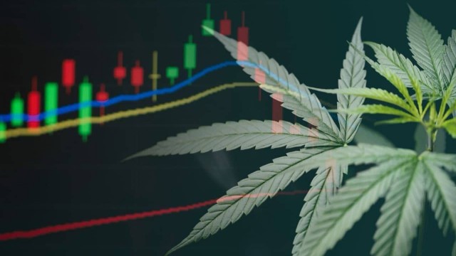 The next pot of gold? Marijuana stocks surge higher on promise of reclassification