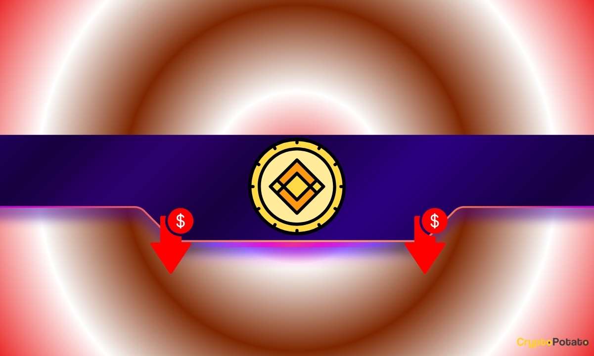 Article image for These Altcoins Crash Hard Following Binance Delisting: Details