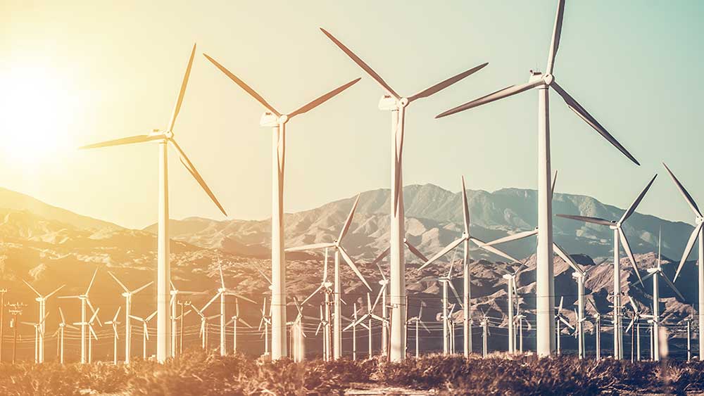 This Clean Energy Stock Is Near A High After Quadrupling