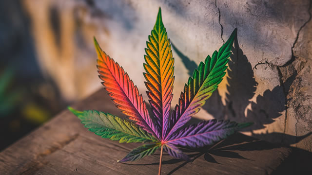 Tilray Brands Expects to Hit a Major Milestone for the Current Fiscal Year: $1 Billion in Annual Revenue. Here's How it Plans to Get There