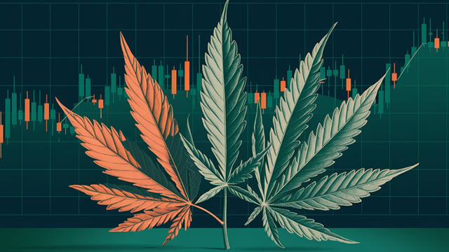 Tilray Brands, Inc. (TLRY) Stock Drops Despite Market Gains: Important Facts to Note