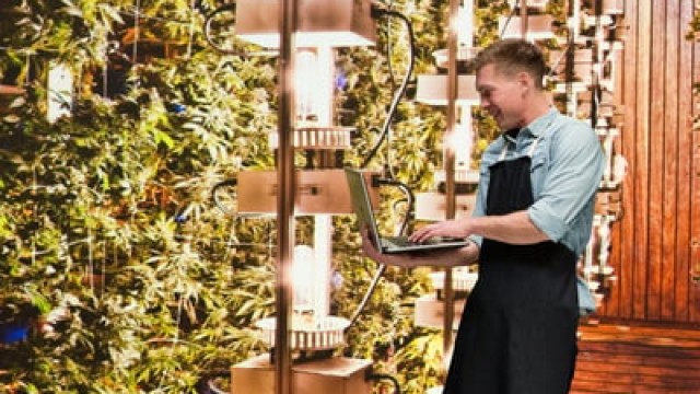 Tilray Brands Slashed Its Guidance. Is the Stock a Buy?