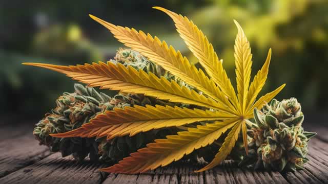 Tilray Brands Soars on Reports of Likely US Marijuana Reclassification