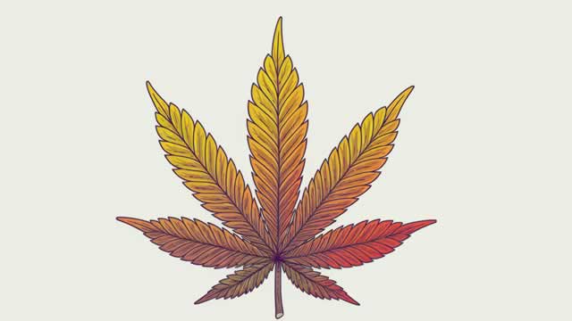 Tilray Sinks 4%: 3 Reasons the Market Isn't Impressed Despite Record Q3 Revenue