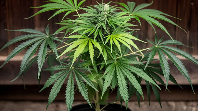 Tilray's Stock Is as Cheap as It's Been Since 2020. 1 Thing to Know Before You Buy.