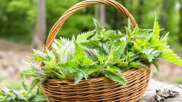https://images.financialmodelingprep.com/news/top-3-weed-stocks-to-put-on-your-watch-list-20220217.jpeg