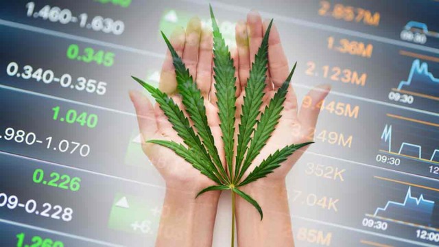 Top Cannabis Stocks For Marijuana Investors