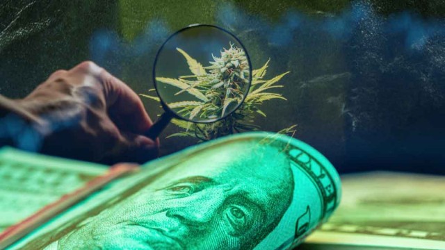 Top Contending Marijuana Stocks For Investors Today